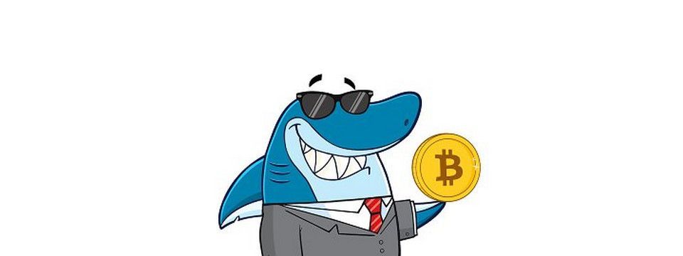 Phân tích Crypto chiều ngày 03/10 - Bị dồn vào chân tường