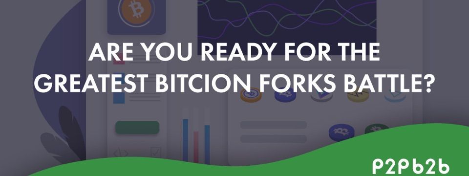 Kết quả vòng loại Trận Chiến Bitcoin Folks. P2pb2b tiết lộ danh sách 8 coin hàng đầu