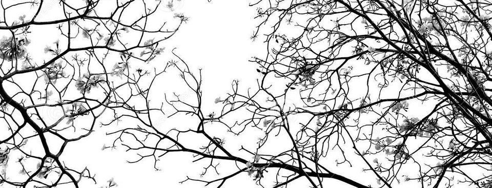 Ảo ảnh 'bốn chấm không'