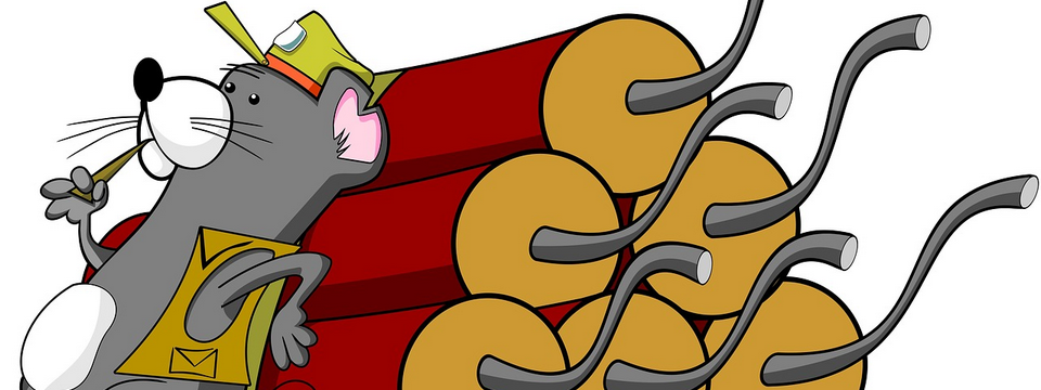 Thấu hiểu tâm lý đám đông bằng mô hình Boom And Bust