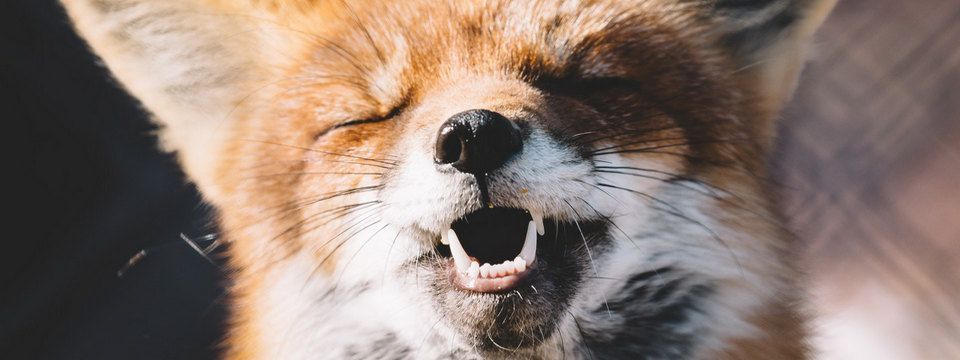 Hình vui cho anh em Crypto Trader