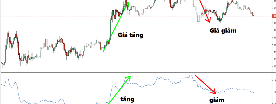Phương pháp nhận diện và giao dịch tại các vùng tích lũy - phân phối