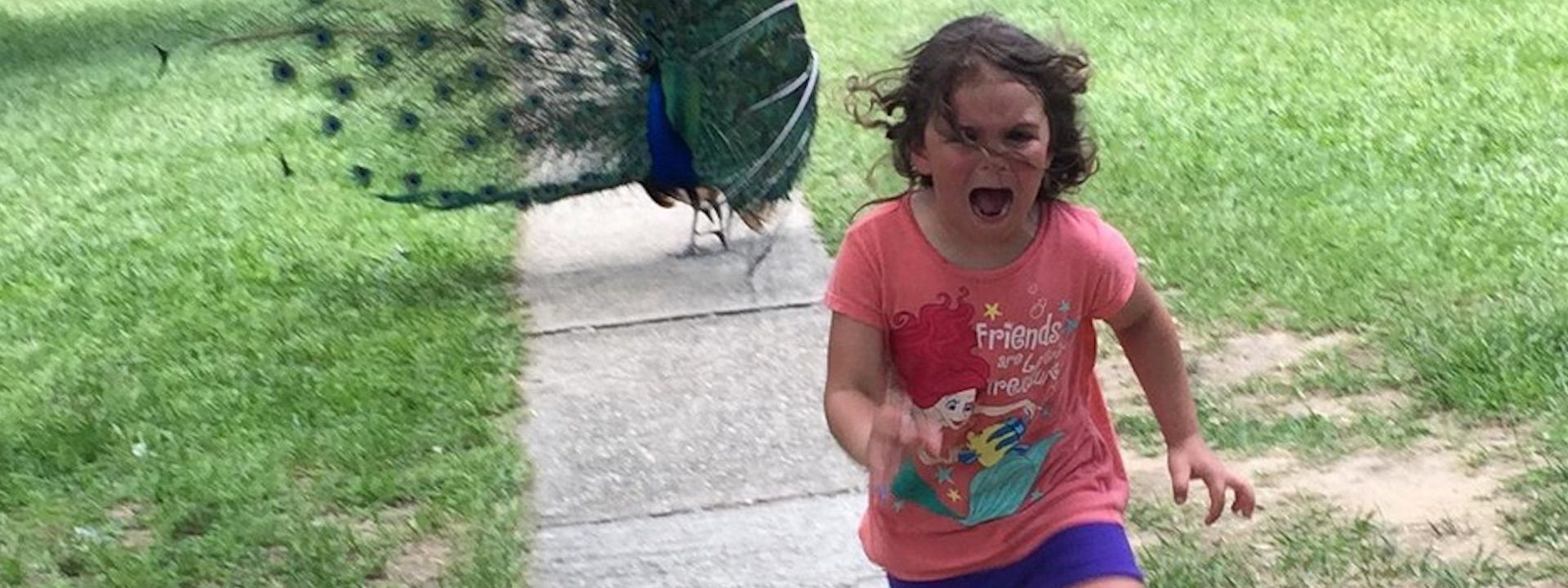 Hôm nay trade coin gì? - Ngày 25/10: Có tháo chạy cùng thị trường chứng khoán?