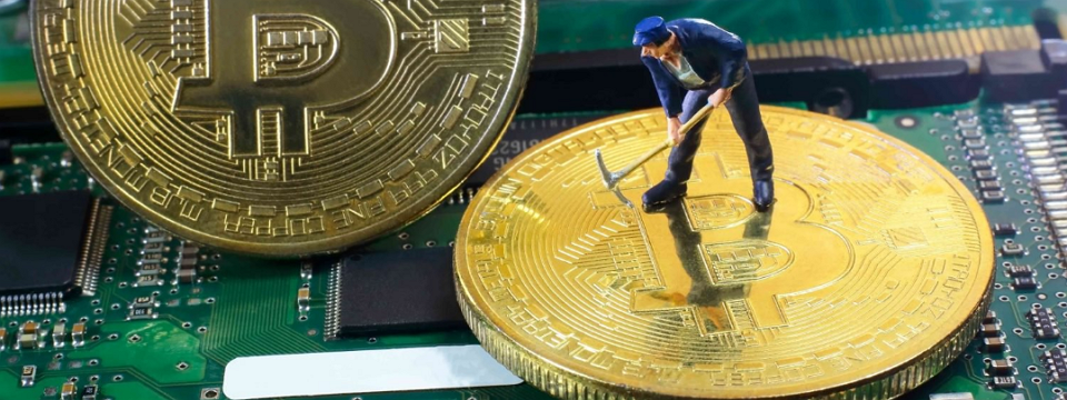 Tranh cãi xung quanh việc cấm nhập máy đào tiền ảo