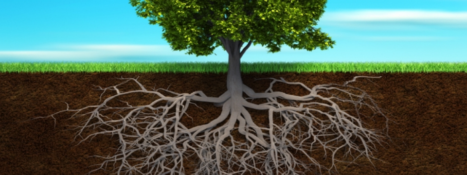 Ông tổ nghề Trading là ai?