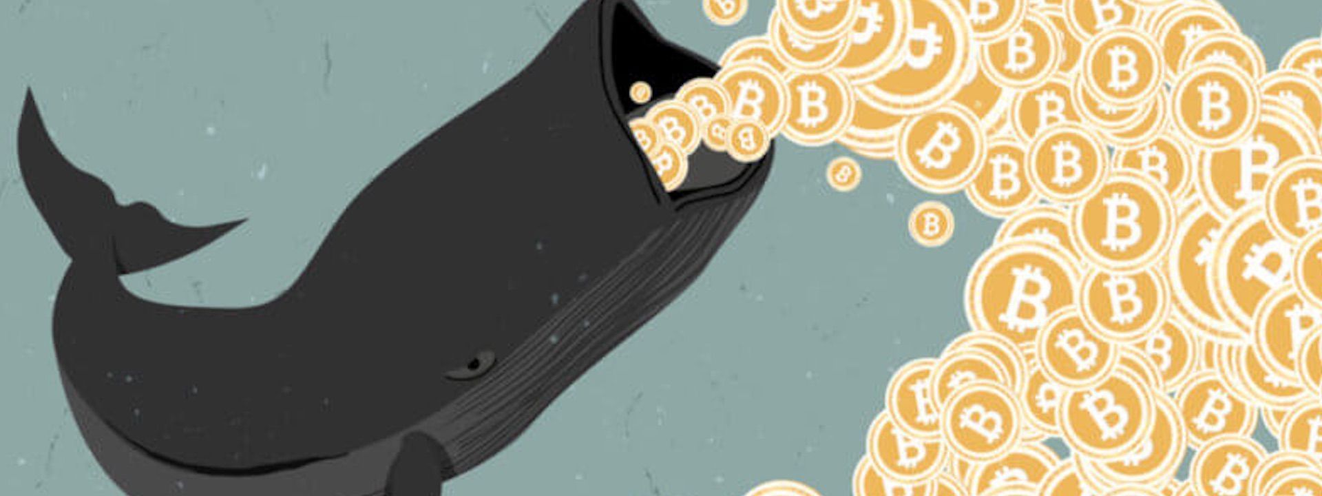 Cá Voi Bitcoin và một vài phát hiện thú vị