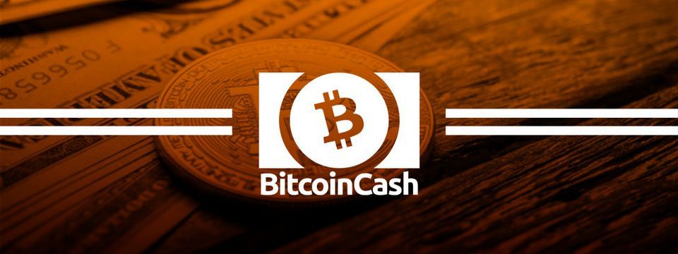 Lập danh mục đầu tư Crypto dài hạn ( phần 2 ) - Bitcoin Cash