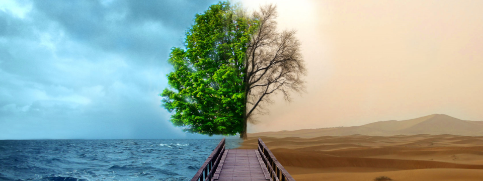 Trade tốt và trade tệ khác nhau cơ bản như thế nào?