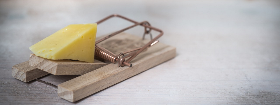 Bear Trap và các chiến lược trading với Bear Trap