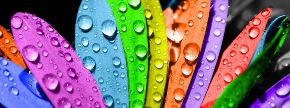 Mất tài khoản Facebook vì game 'Cuộc đời bạn màu gì?"