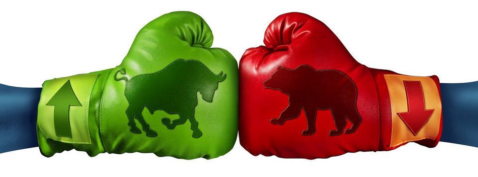 Phân tích Crypto đầu ngày 13/11 - Gấu tranh Bò đấu