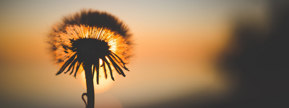 20 câu nói truyền động lực từ các tác phẩm truyện tranh bất hủ