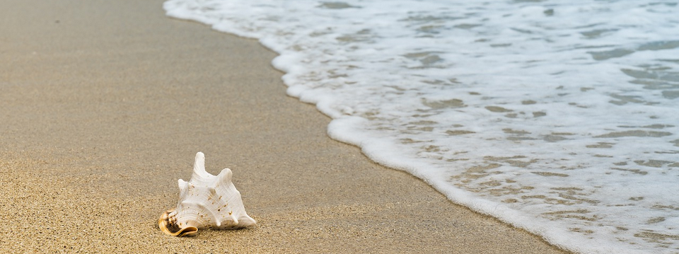 Cùng đón đầu con sóng bằng Demarker - một công cụ của Thomas Demark