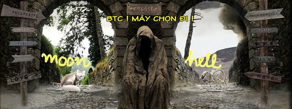 Phân tích Crypto tối ngày 23/11 - Thoát bẫy rồi chạy đâu tiếp?