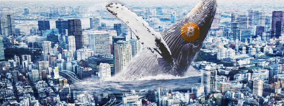 Phân tích Crypto chiều ngày 04/12 - Đảo chiều sang tăng?