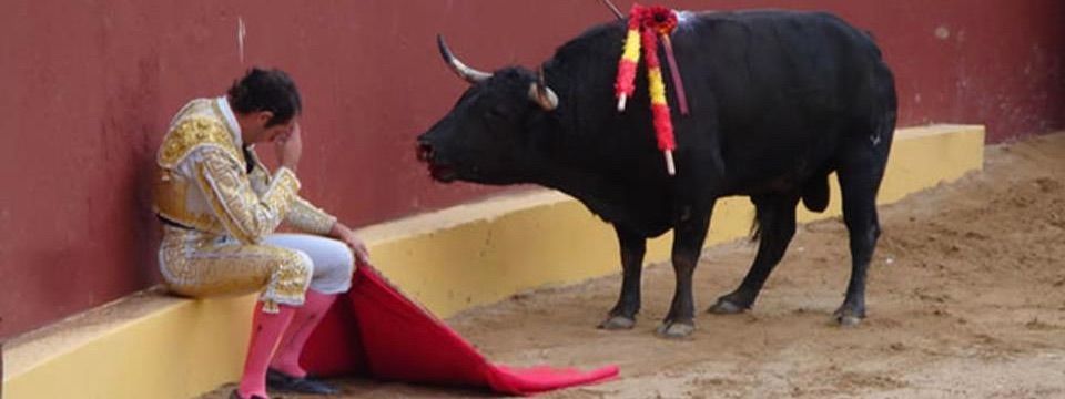 Phân tích Crypto đầu ngày 11/12 - Sự YSL của bầy Bò