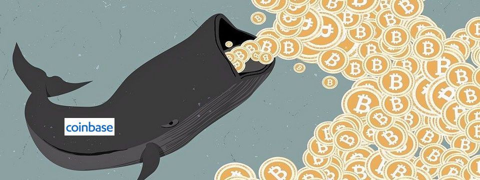 Nóng!!! Coinbase chính là cá mập di chuyển 856k BTC