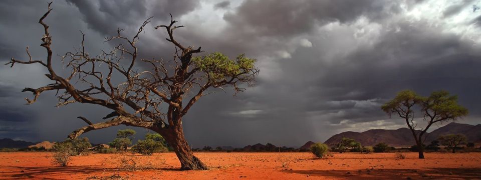 Phân tích cơ bản Forex hôm nay - Bão Brexit tạm ngưng, bão ECB lại tới