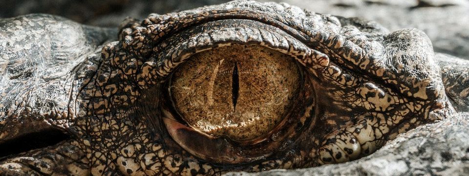 Khối lượng Bitcoin được giao dịch đang tăng lên rất cao - trader nên cẩn thận trong thời gian này