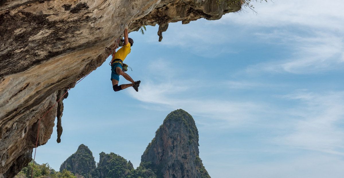 Bài học đắt giá từ người thầy Crypto (phần 3) - High Risk, High Returns