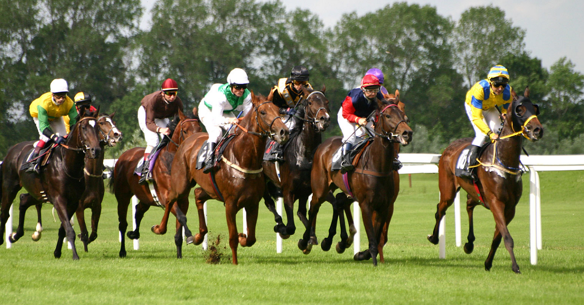 Luận bàn về xu hướng - Market's trend