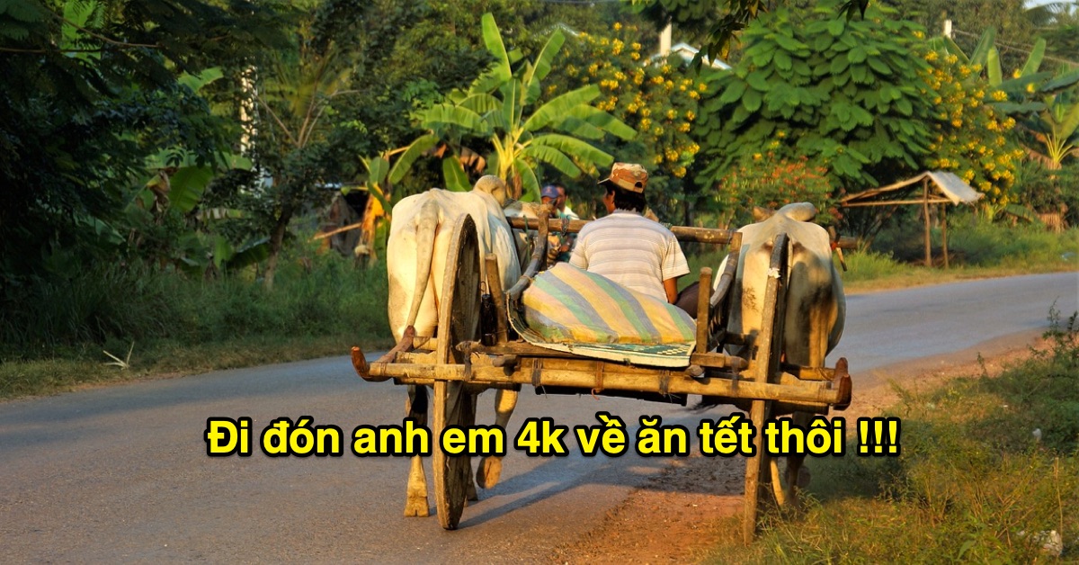 Phân tích Bitcoin tối ngày 25/01 - Hú vía. Tiếp theo là Harmonic