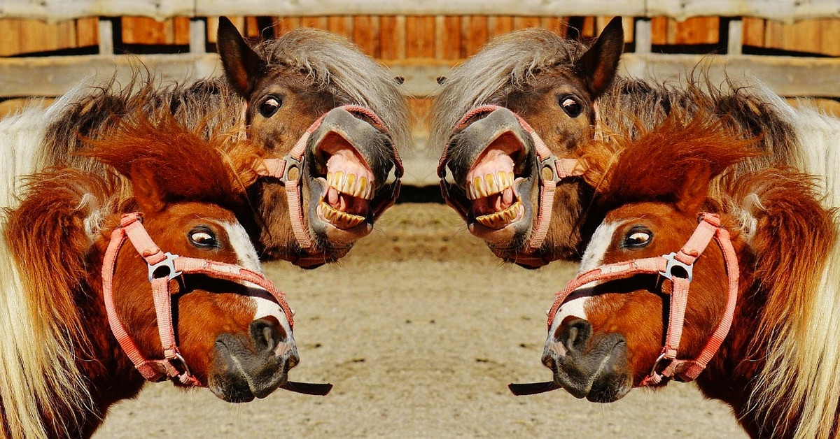 Hãy Tìm Phong Cách Của Mình !