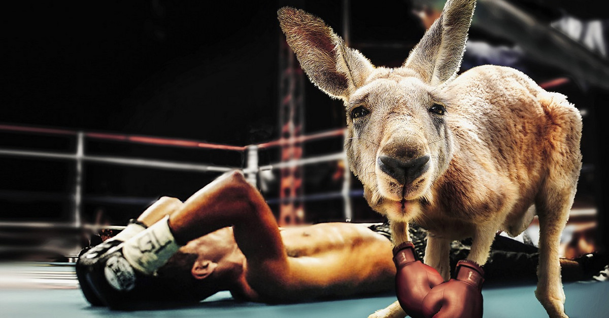 Vì sao AUDUSD bật lên rồi lại bật xuống ngay sáng nay?