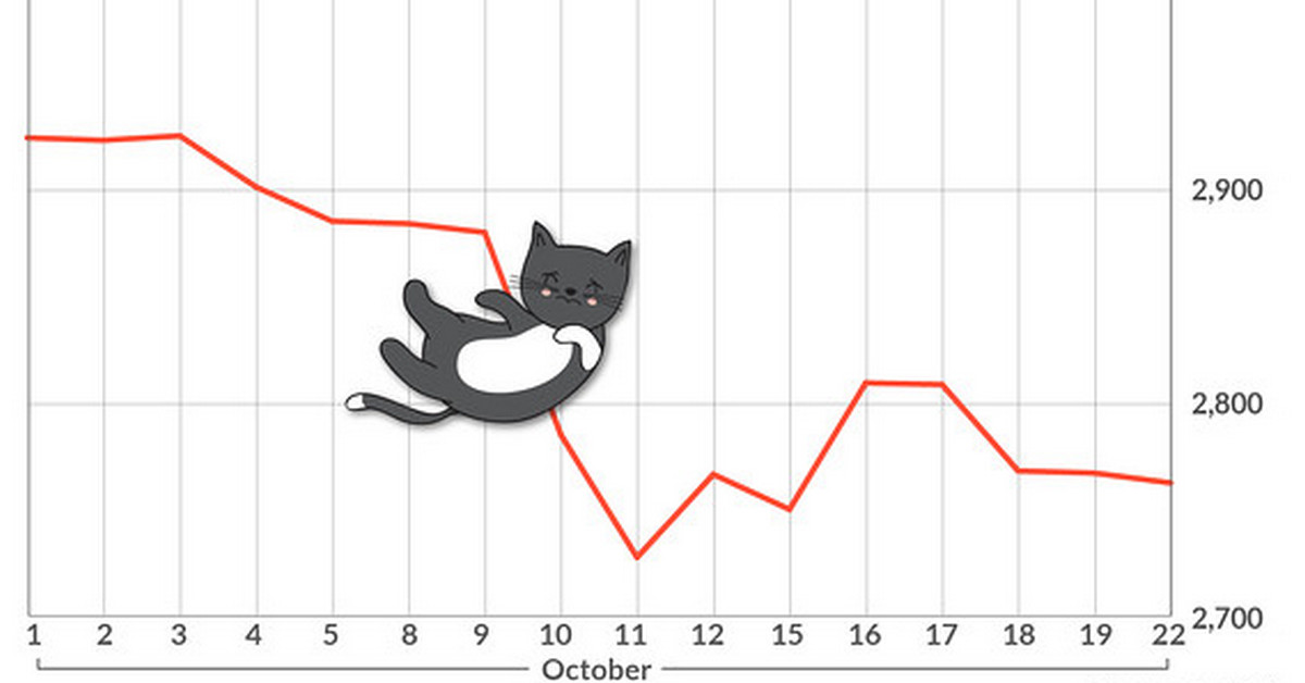 Cú nảy mèo chết (Dead cat bounce) là gì? Trường hợp nào thì trader sẽ chết theo mèo đây?