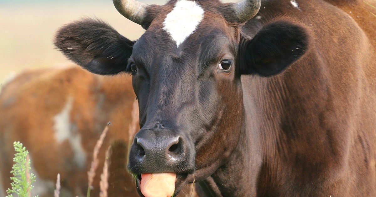 Công An Việt Nam cảnh báo nạn lừa đảo dưới hình thức đầu tư vào tiền ảo