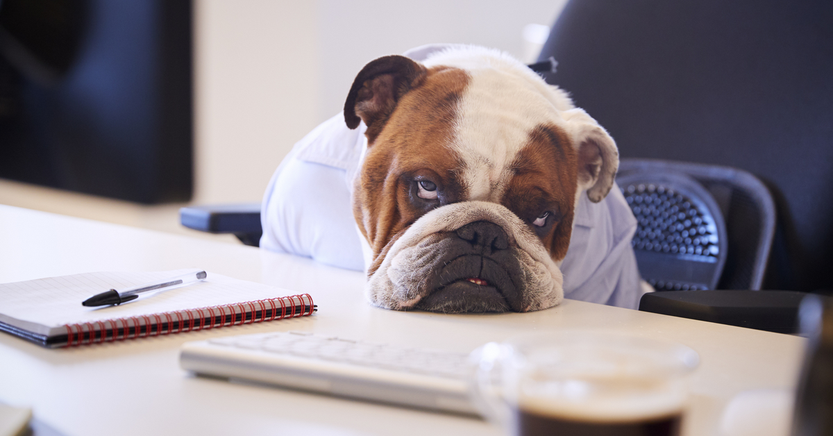 Phân tích chứng khoán Mỹ phiên Mỹ ngày 13/03 - Lại tiếp tục giằng co!