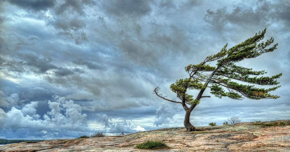 Bitcoin theo góc nhìn đồ thị P&F - 19/03: Mô hình Bearish Reversal Formation?