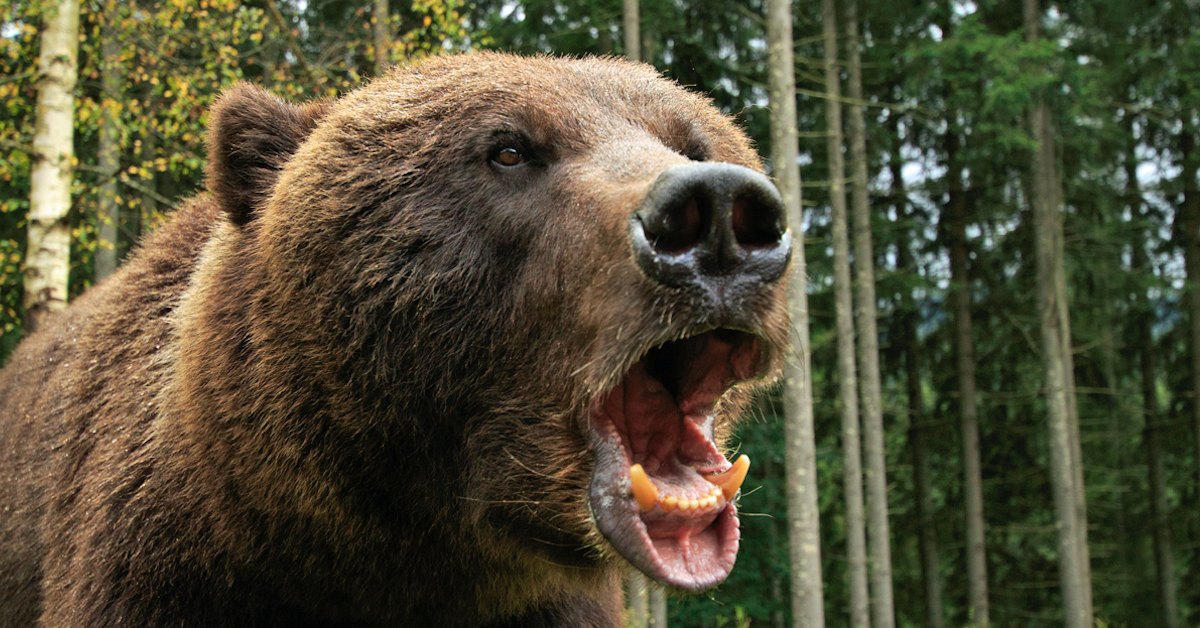 Phân tích cơ bản crypto tuần 08/04-15/04: Bear market đã hoàn tất?