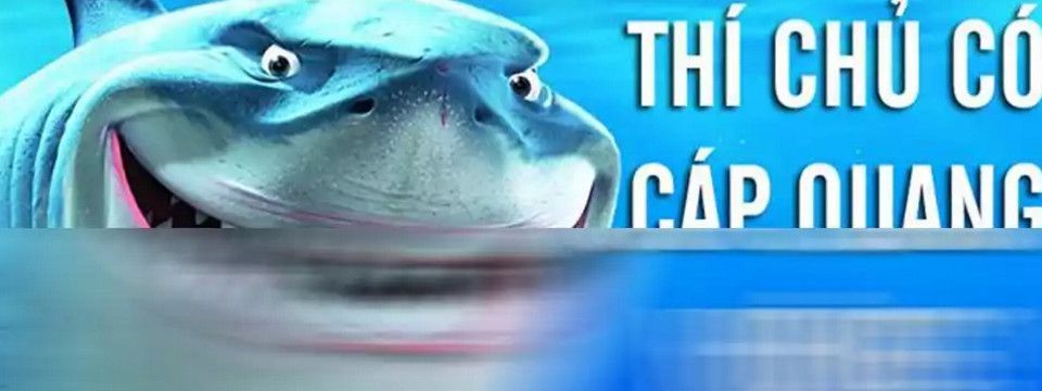 Làm sao để tăng tốc độ mt4 khi cá mập cắn đứt cáp?