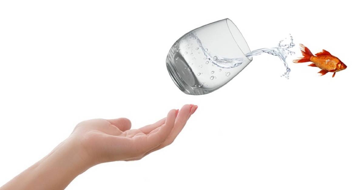 Tình hình lo ngại rủi ro đang quét qua thị trường. Hướng đi nào tiếp?