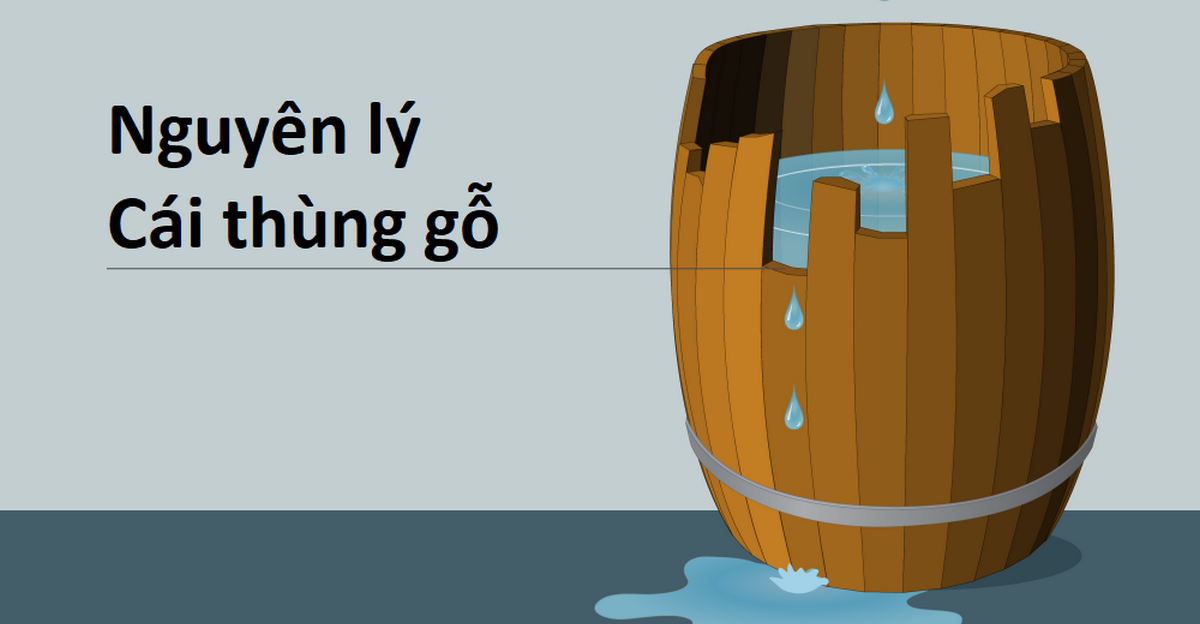 Nguyên lý cái thùng gỗ của Peter và lý do tại sao đến bây giờ nhiều Trader vẫn cứ thua lỗ!
