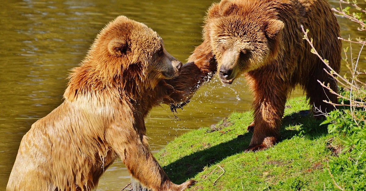 Phân tích Bitcoin đầu ngày 02/05 - Harmonic tạo khó khăn cho Bò