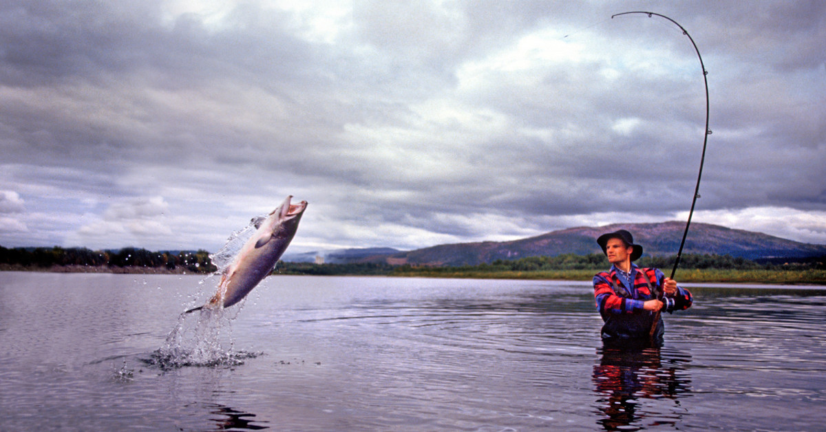 Vì sao giao dịch Forex lại giống như đi câu cá? Làm cách nào để cá cắn câu đây?