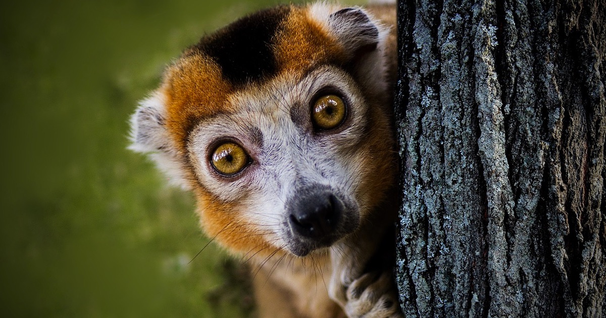 (Quan điểm) Từ giờ đến cuối tuần nên trade cặp forex nào?