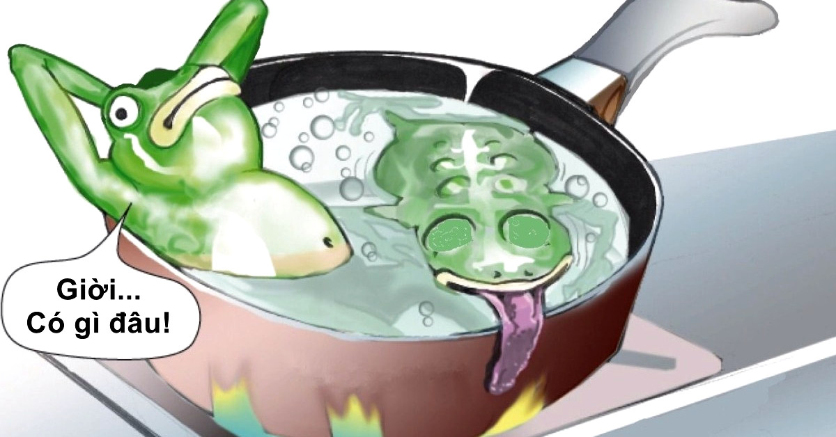 Nghịch lý trong câu chuyện đun sôi con ếch và trader đốt tài khoản!