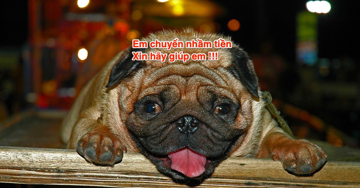 (Nhờ tư vấn) Crypto Trader Việt chuyển nhầm số crypto trị giá 300 triệu, làm sao để lấy lại bây giờ?