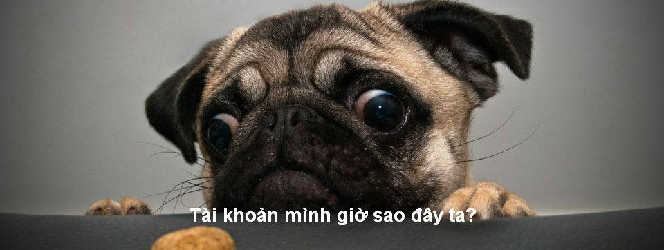 Khách hàng của FXCM sẽ được xử lý ra sao sau khi Broker này bị rút giấy phép tại thị trường Mỹ?