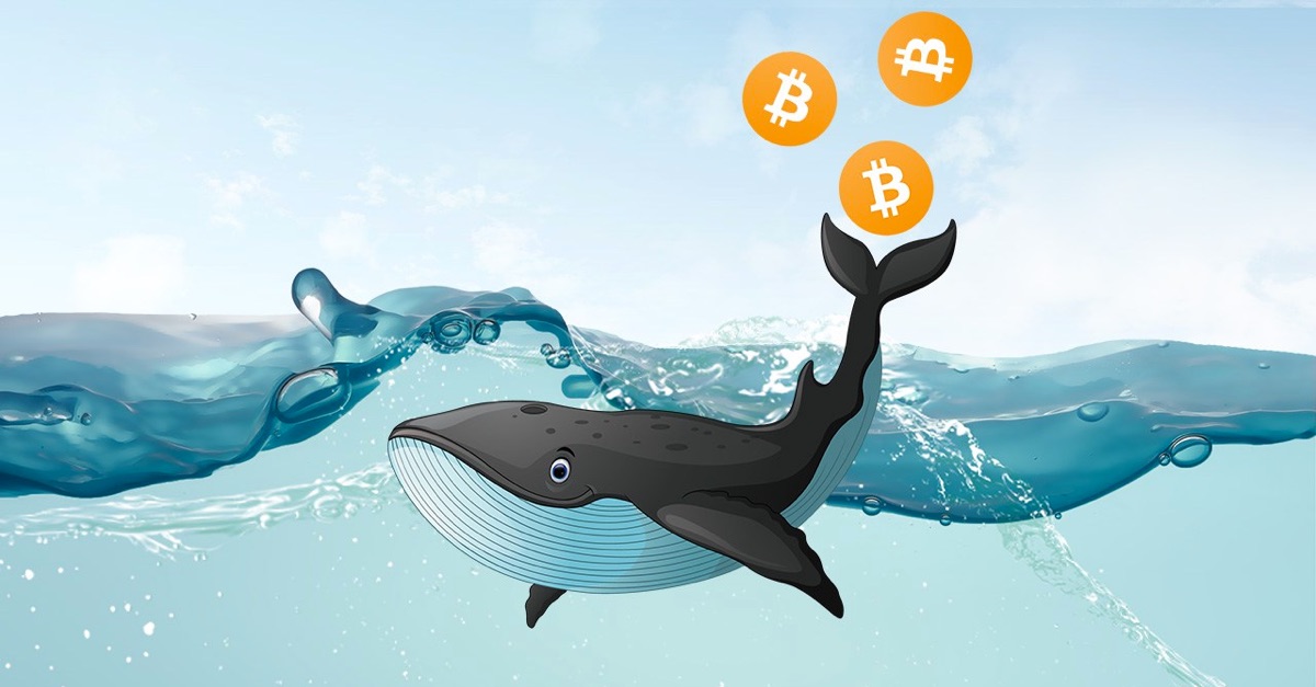 Tether vừa in thêm USDT, Crypto lại moon xanh ngắt?