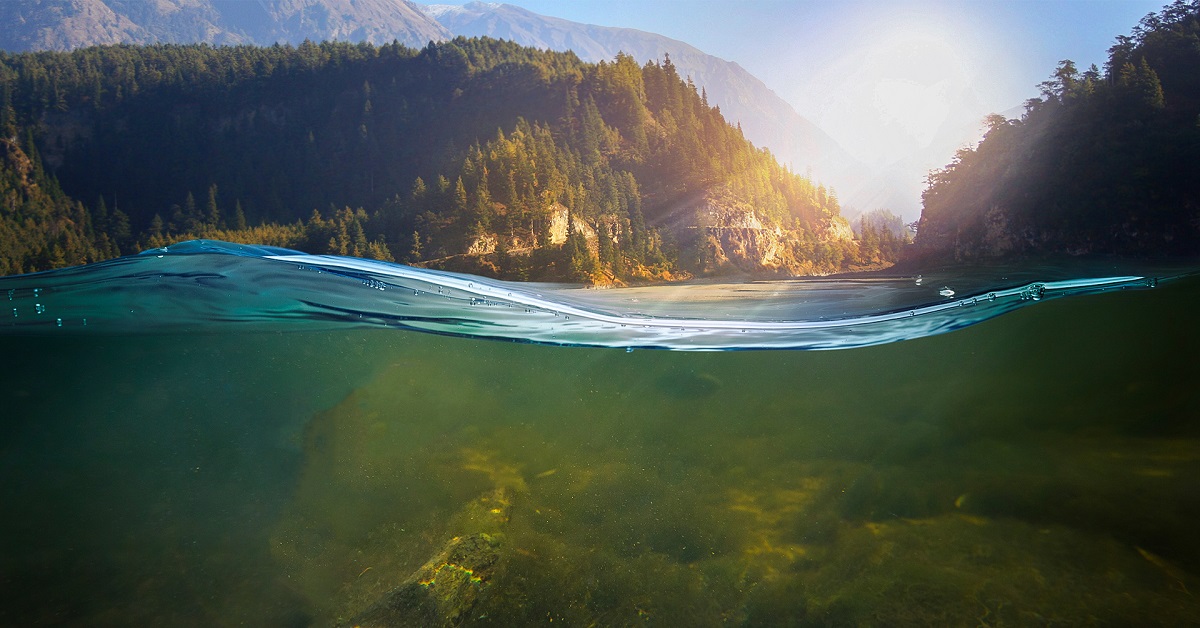 Thị trường crypto theo góc nhìn đồ thị P&F - Ngày 26/06 : Không ngừng nghỉ!