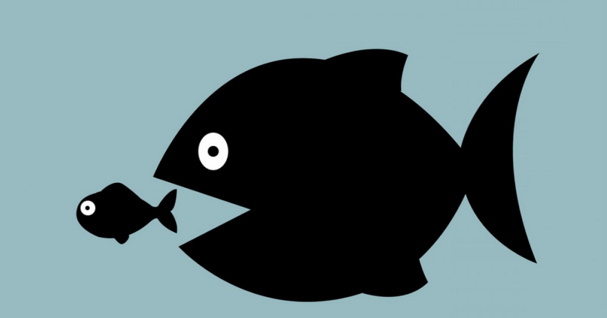 Những nguyên nhân sâu xa khiến hầu hết các nhà đầu tư nhỏ lẻ thất bại trên thị trường