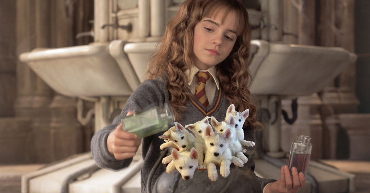 Tâm lý "ngộ nhận" trong trading sẽ đầu độc tài khoản của Trader như thế nào?