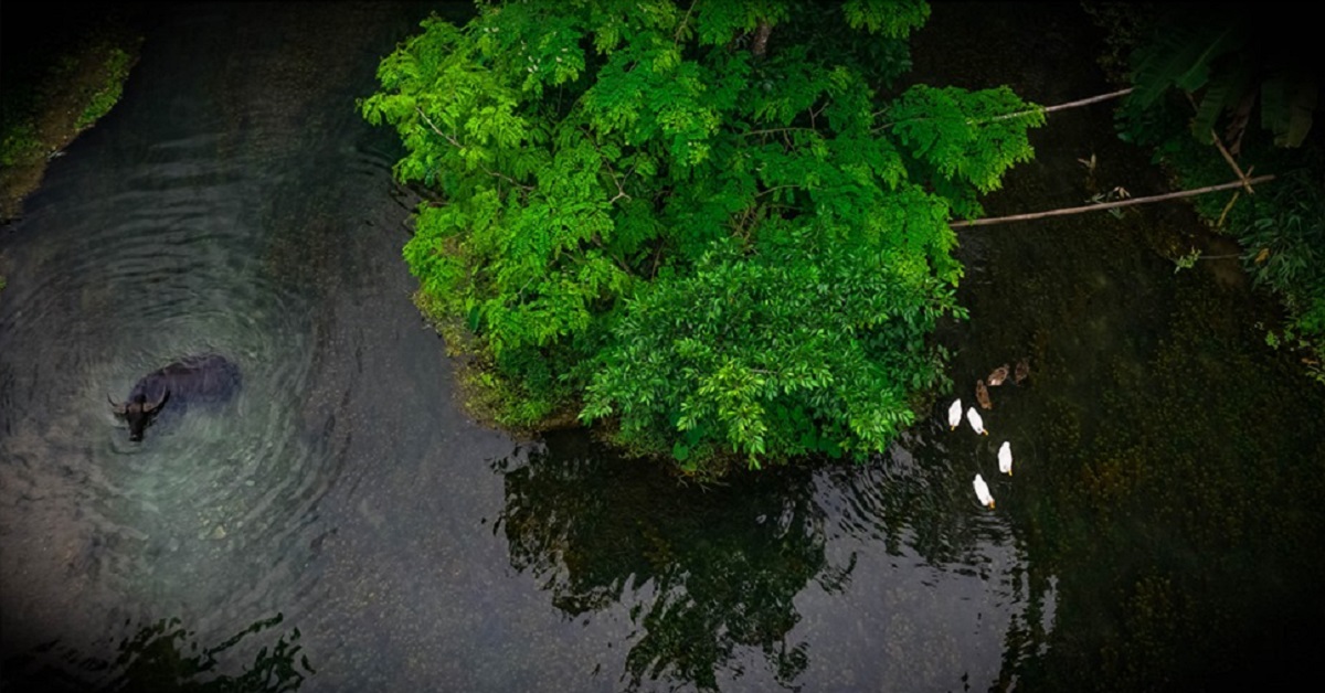 Thị trường crypto theo góc nhìn đồ thị P&F - Ngày 22/07: Tín hiệu tích cực đến từ Altcoin!