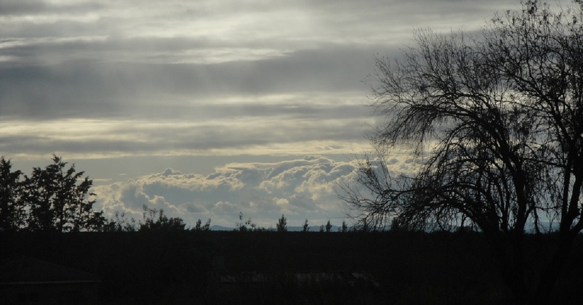 Thị trường crypto theo góc nhìn đồ thị P&F - Ngày 31/07: Chưa có gì tiến triển!