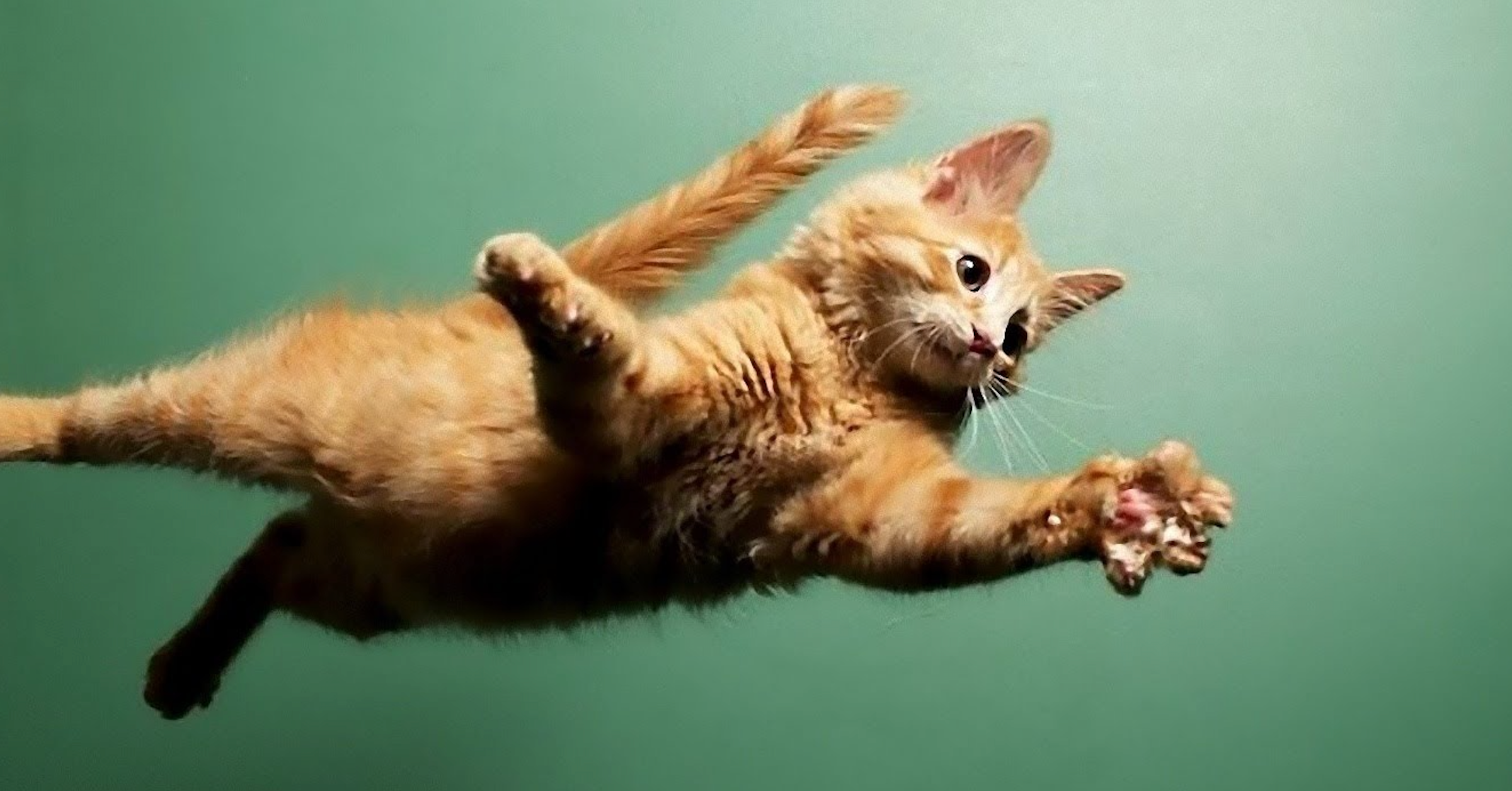 Hôm nay trade coin gì? - Ngày 01/08: Tăng để sập?