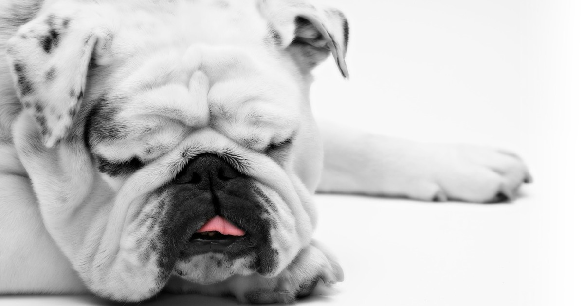 Tại sao các chỉ báo dự đoán thị trường là thứ vô dụng?